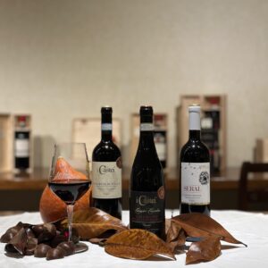 Promo d’Autunno Castellani: 3 Bottiglie a 50€ con Spedizione Gratuita – 1 è in Regalo!